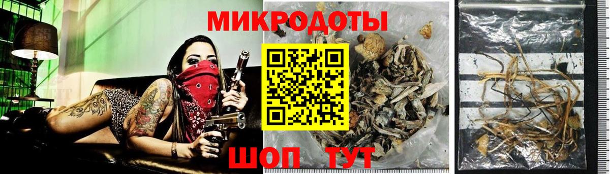 Галлюциногенные грибы мицелий Тихвин